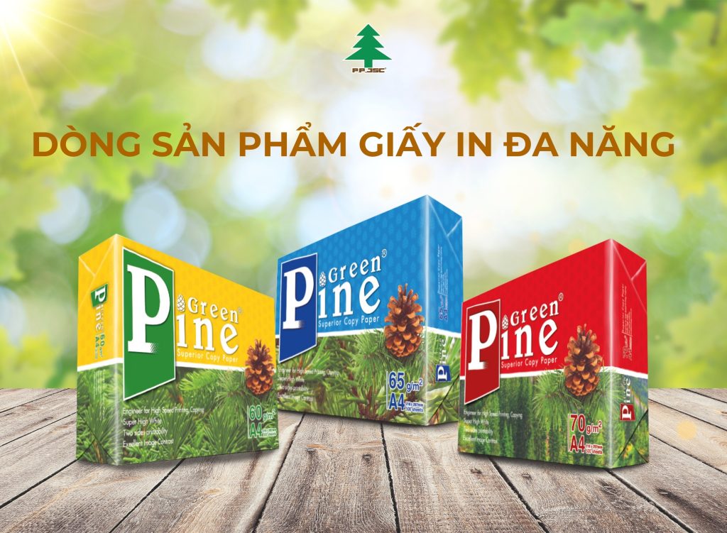 Các dòng sản phẩm giấy và bao bì nổi bật, chất lượng cao