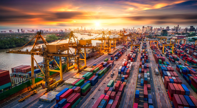 Chất lượng dịch vụ logistics tại Bee Logistics có tốt không?