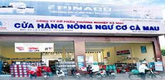 Mạng lưới và quy mô hoạt động của CÔNG TY CP THƯƠNG NGHIỆP CÀ MAU