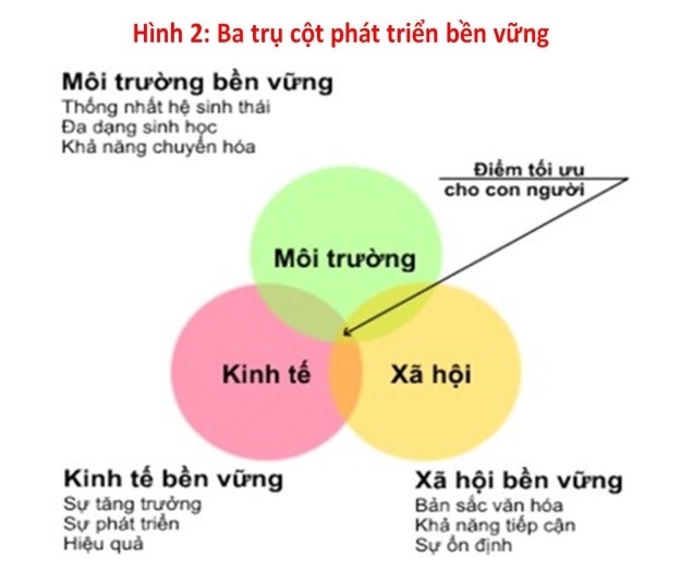 Trách nhiệm xã hội và phát triển bền vững của APFCO